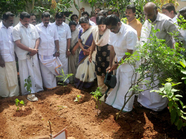 പച്ചക്കറി