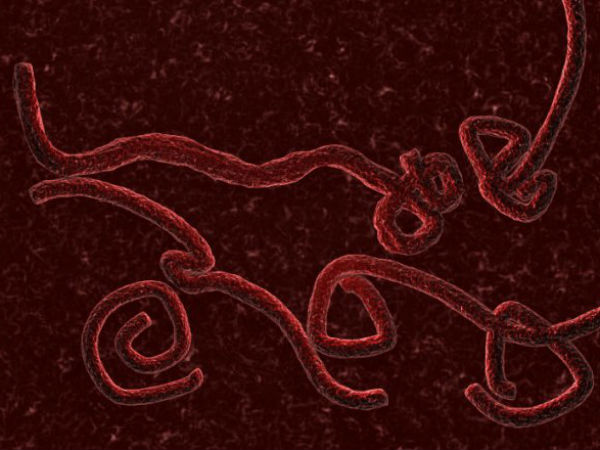 ebola ebola