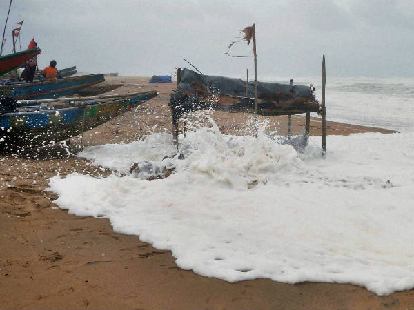നിലോഫറിന് ലക്ഷ്യം ഗുജറാത്ത്