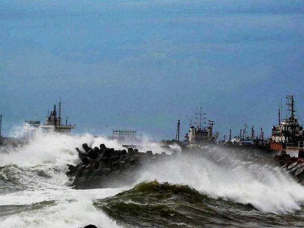 നിലോഫര്‍ എന്തുചെയ്യും