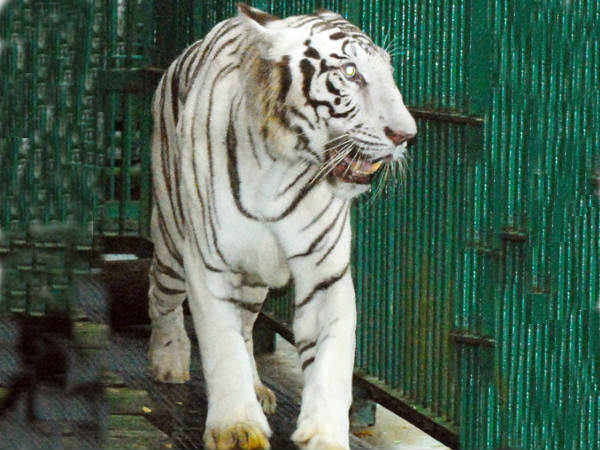 കാത്തിരിക്കണം