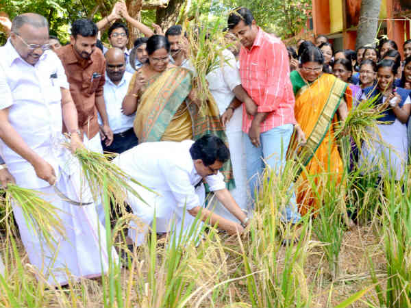 Nelkrishi 3 Nelkrishi 3