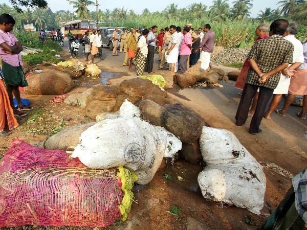മാലിന്യ നിര്‍മ്മാര്‍ജ്ജനത്തിന്