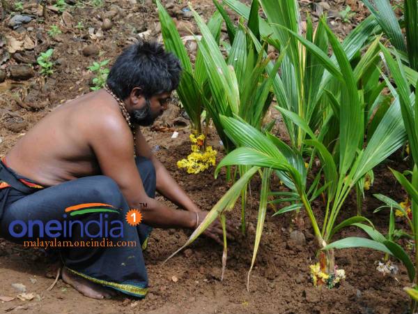 തെങ്ങ് വഴിപാട്