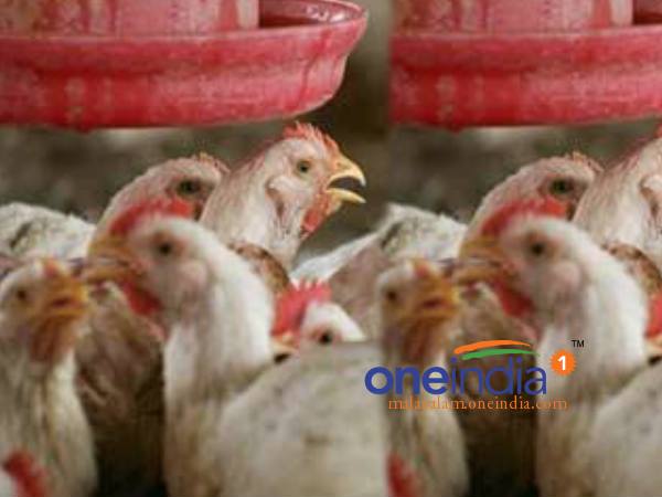 മനുഷ്യരിലേക്ക്