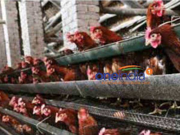 രോഗ ലക്ഷണങ്ങള്‍