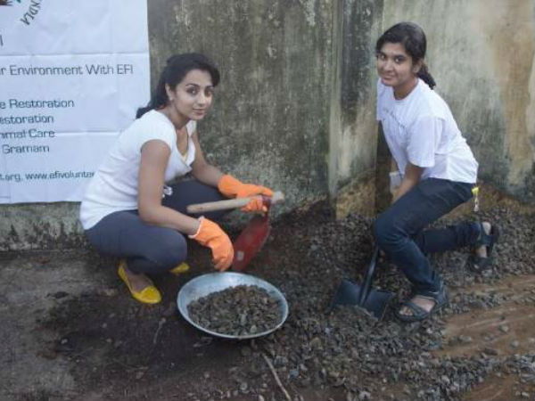 തൃഷയ്ക്ക് വന്ന വഴി