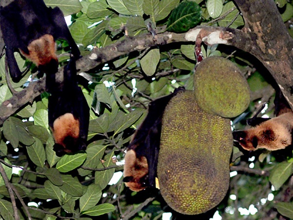 ഇതു എന്തു ടേസ്റ്റ്