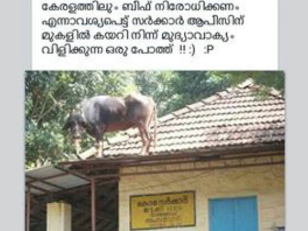 കേരളത്തിലെ പോത്ത് സമരം