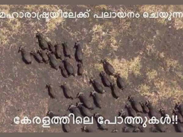 കേരളത്തില്‍ നിന്ന് മഹാരാഷ്ട്രയിലേക്ക്