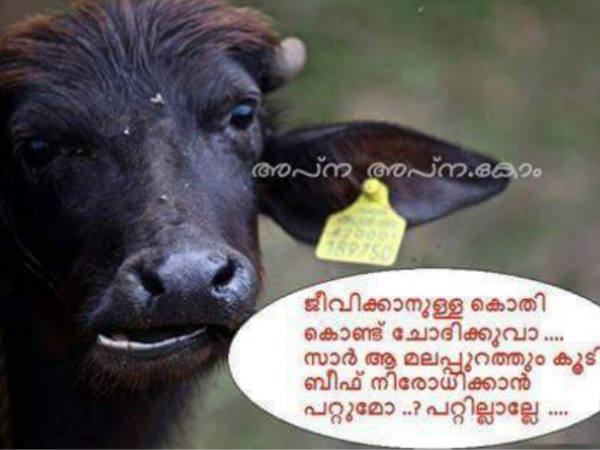 അത് പോത്തല്ല സാര്‍