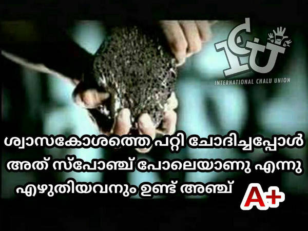 ശ്വാസകോശം