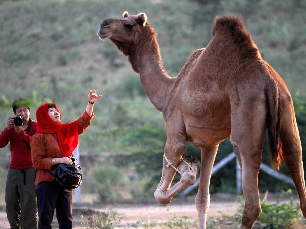 ഇതൊന്നും നടക്കാന് പോകുന്നില്ല ഇതൊന്നും നടക്കാന് പോകുന്നില്ല
