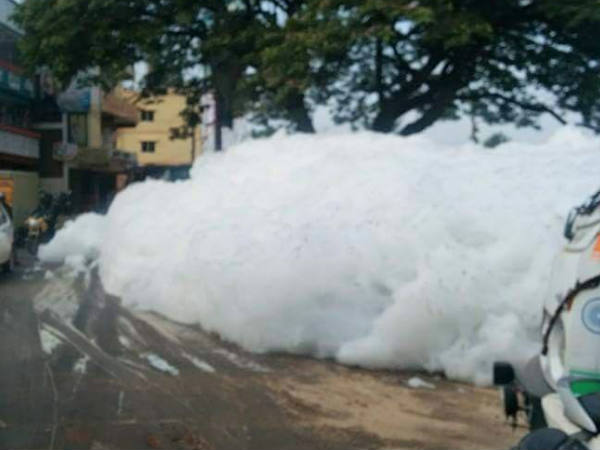 വര്‍ത്തൂര്‍ തടാകം