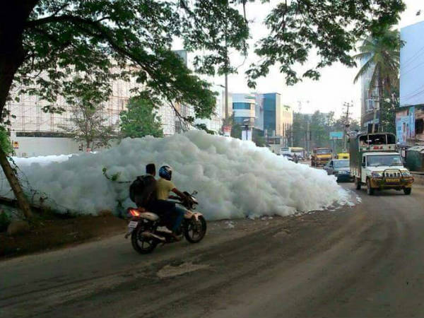 കാറ്റേ നീ വീശരുതിപ്പോള്‍...