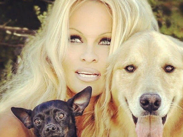 ആദ്യം സ്‌നേഹത്തോടെ...