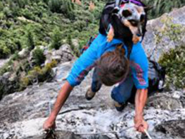 തനിയേ പഠിച്ചു