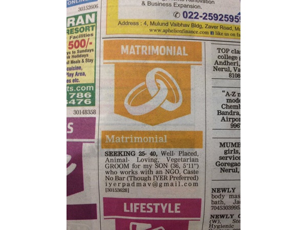 gay1.jpg -Properties