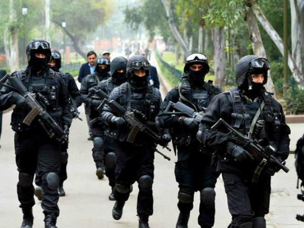  കരിംപൂച്ചകള്‍