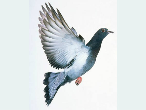  യഥാര്‍ത്ഥ പ്രശ്‌നം