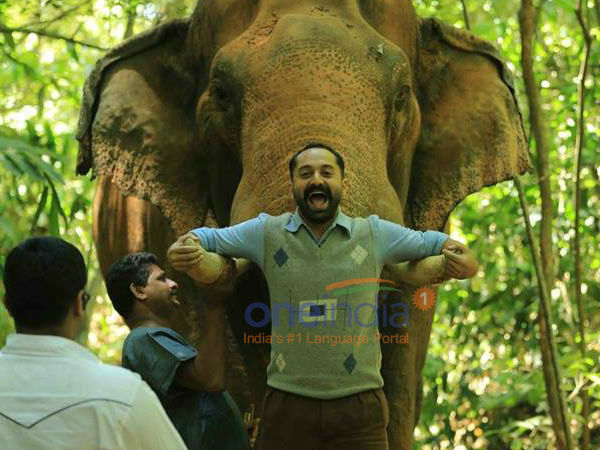 എന്താണ് വീഡിയോയില്‍