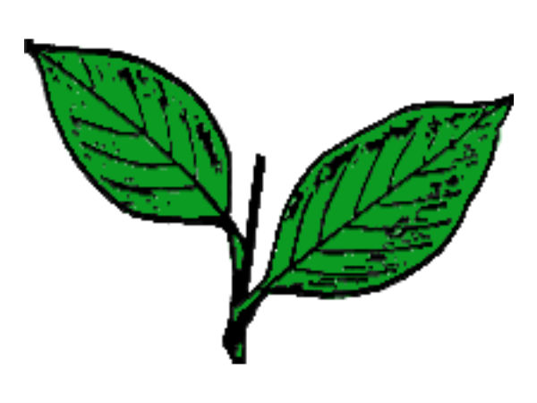 കേരള കോണ്‍ഗ്രസ്