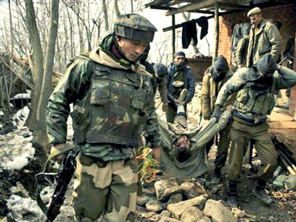 കാടുകേറി