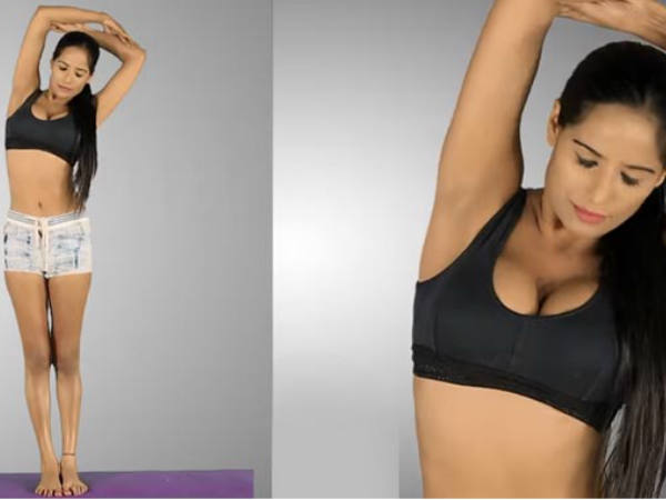 'ഡോഗി സ്‌റ്റൈല്‍' 