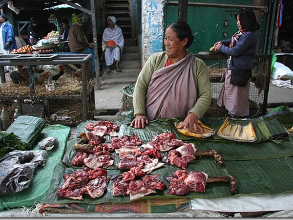 തെരുവ് പട്ടികള്‍