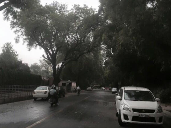 കറുത്ത പനി