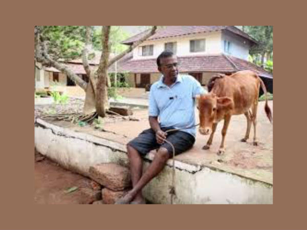 ഏറ്റവും ചെറിയ പശു