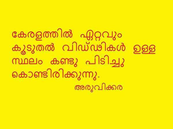 എല്ലാവരും വിഡ്ഡികള്‍