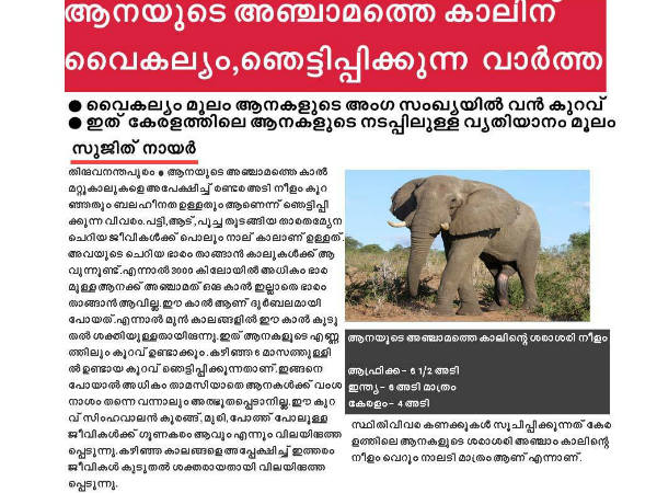 പരിഹാസം ഇങ്ങനേയും ആകാം പരിഹാസം ഇങ്ങനേയും ആകാം