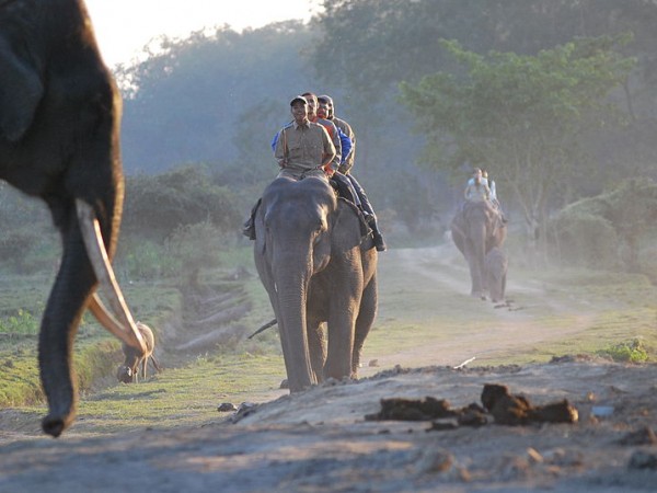 ആനപ്പുറത്ത് കയറാം പക്ഷേ