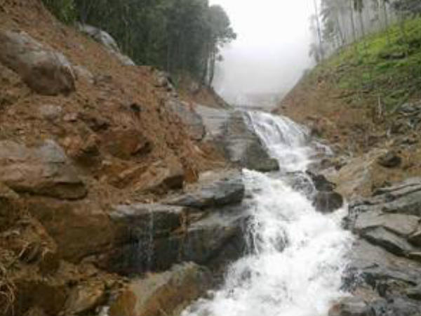 യുവതിയും കുട്ടികളും
