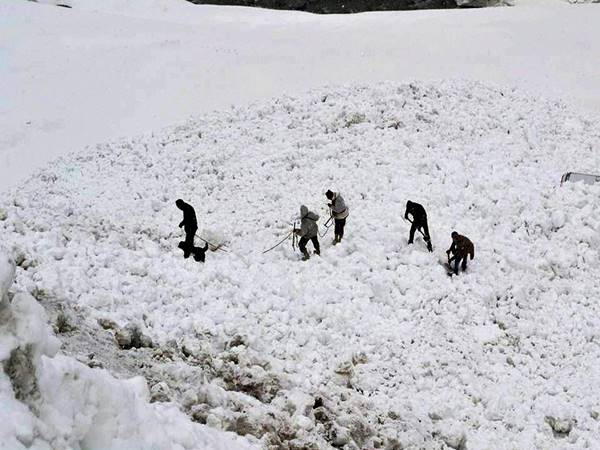 തിരിച്ചടി തിരിച്ചടി