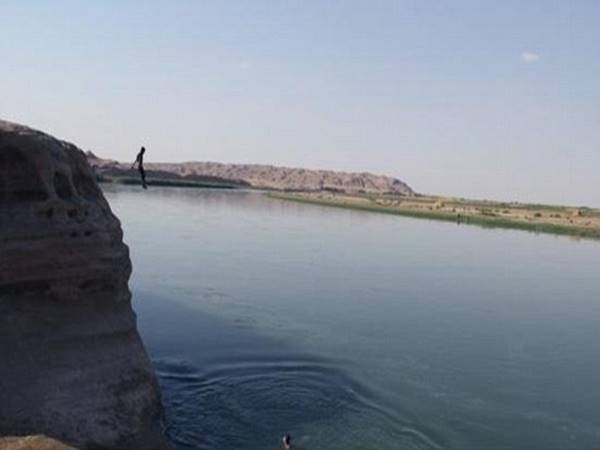 പല ചിത്രങ്ങള്‍