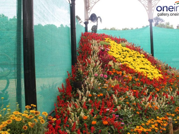 -lalbagh-flower-show-2015-independence-day-special-143895159