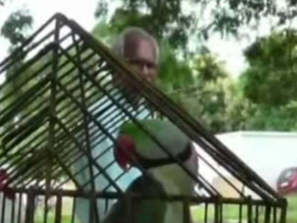 വനംവകുപ്പിന് വനംവകുപ്പിന്