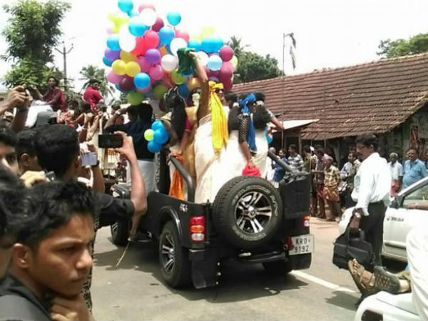  വാഹനത്തിന് മുകളില്‍