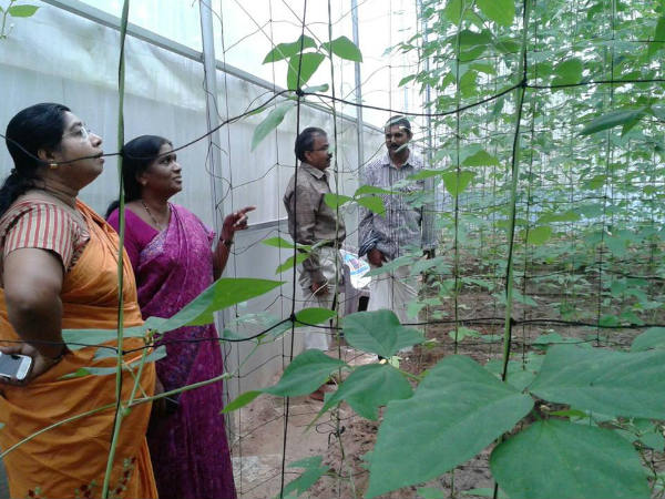 കര്‍ഷകര്‍ക്ക് രക്ഷയില്ല