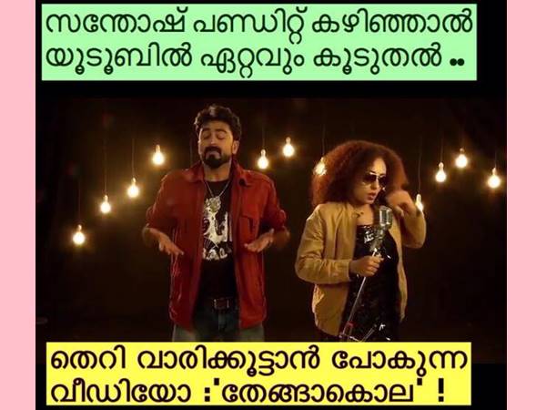 സന്തോഷ് പണ്ഡിറ്റിന് ശേഷം