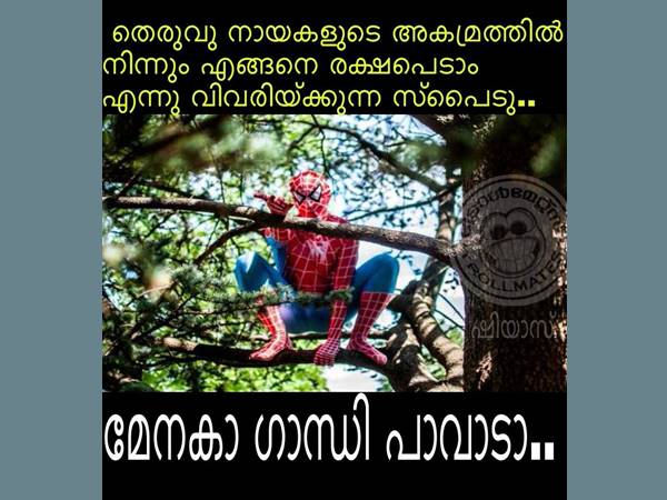 സ്പൈഡര്മാര്... സ്പൈഡര്മാര്...