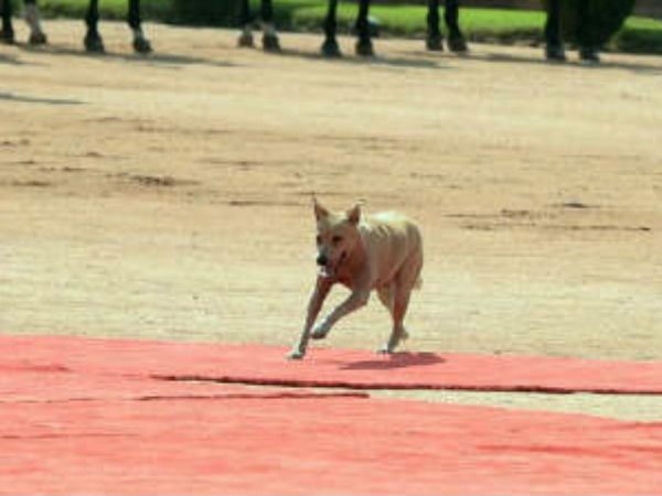 വൈകിപ്പോയി