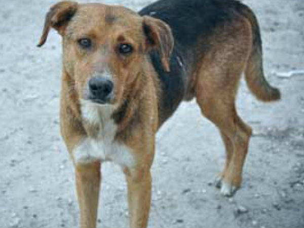 കേരള ഹൈക്കോടതി