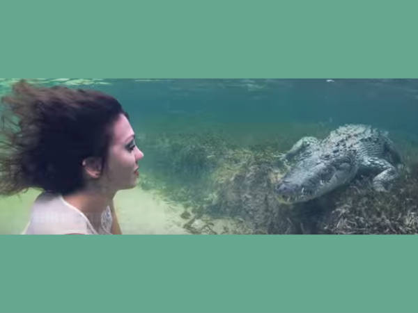 എന്റെ സ്വപ്‌നമായിരുന്നു