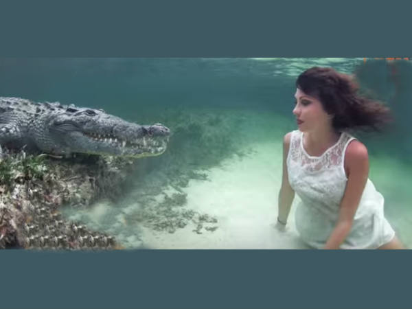 അവിടെ ഒരു ചില്ലുണ്ടത്രെ!!!