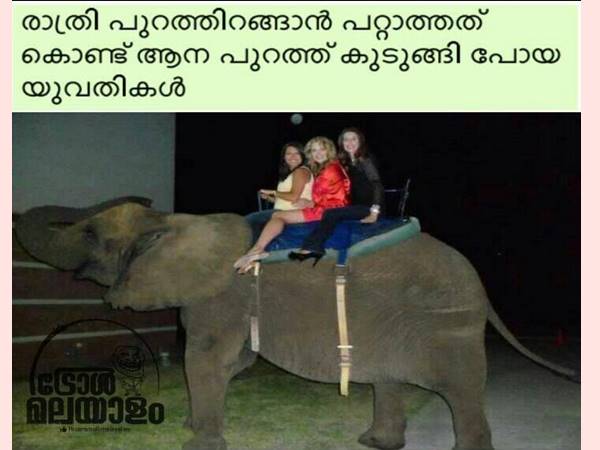 ആനപ്പുറത്ത്