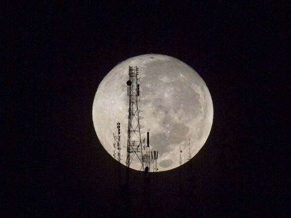 തിരമാല രാജാക്കന്‍മാര്‍