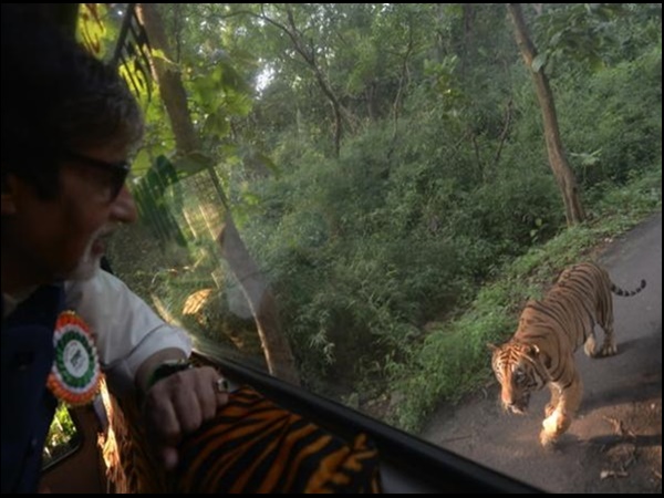 amitabhbachchan